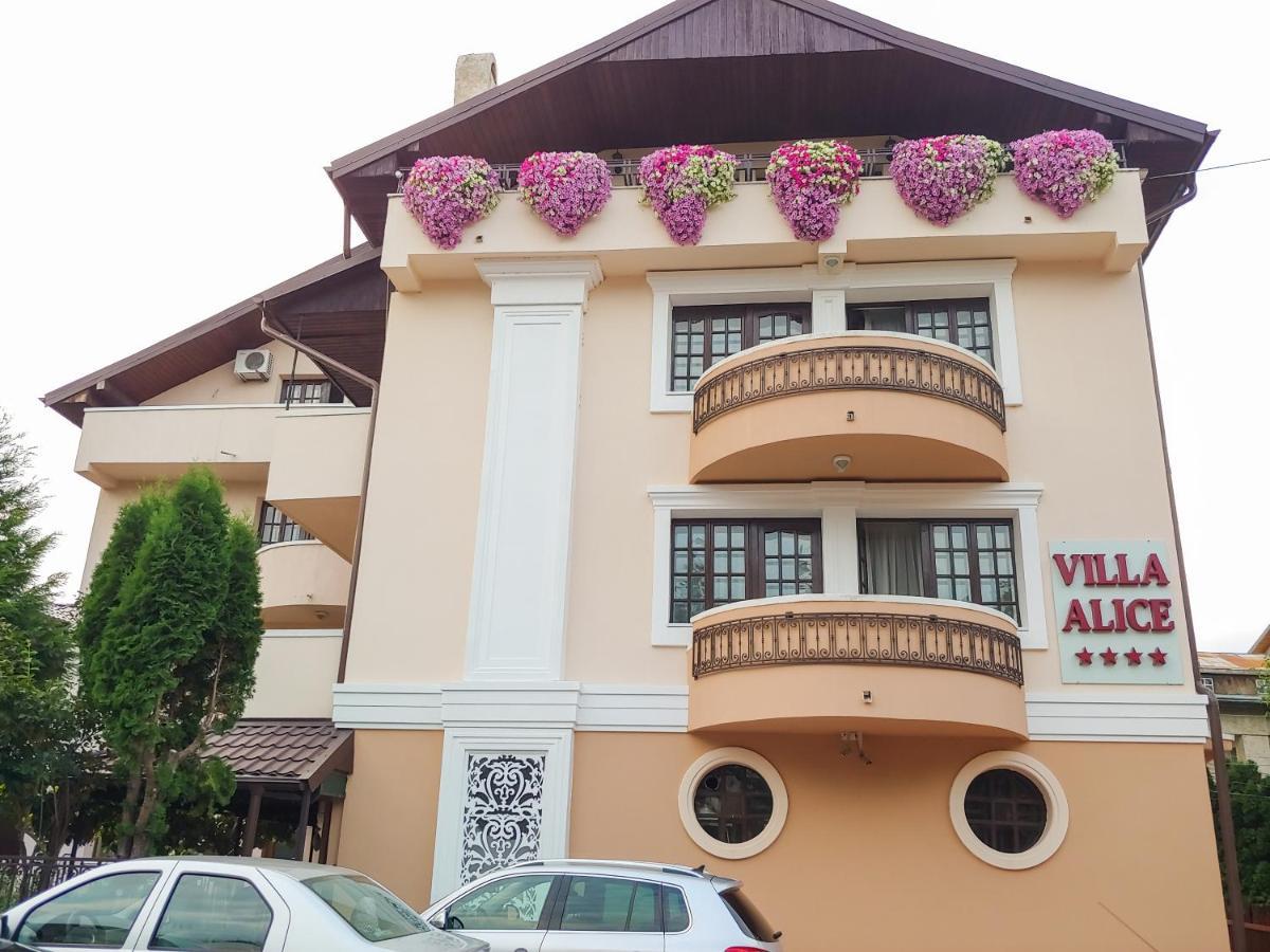 Villa Alice Suceava Ngoại thất bức ảnh