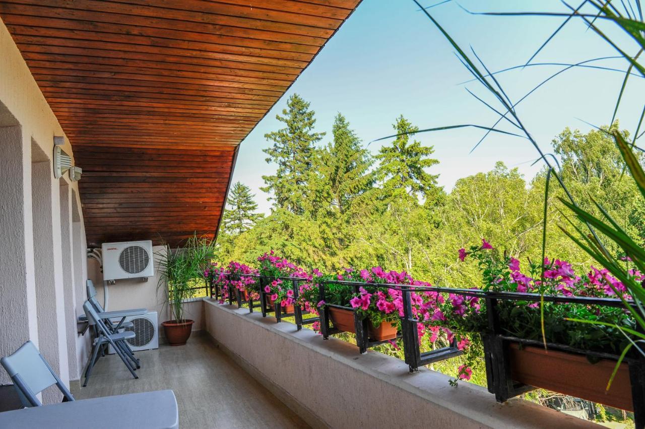 Villa Alice Suceava Ngoại thất bức ảnh